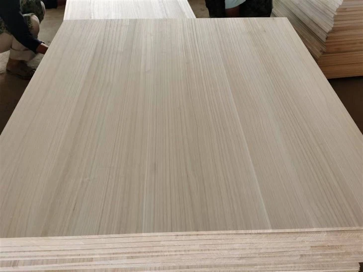 PAULOWNIA RADA PRE PADDLE RAD