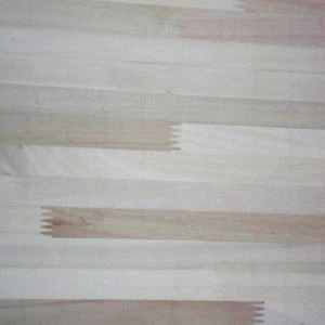 Topol Finger Spoločná rada